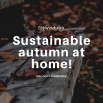 The beginning of the cold season, how to be eco-friendly at home